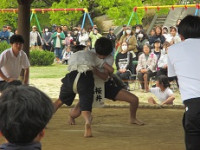 IMG_1846