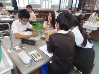 DSC00176