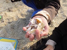 海⑦DSCF7900