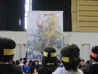 IMG_1901