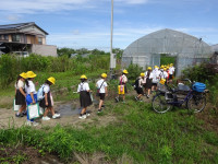 DSC07901