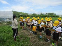 IMG_0012
